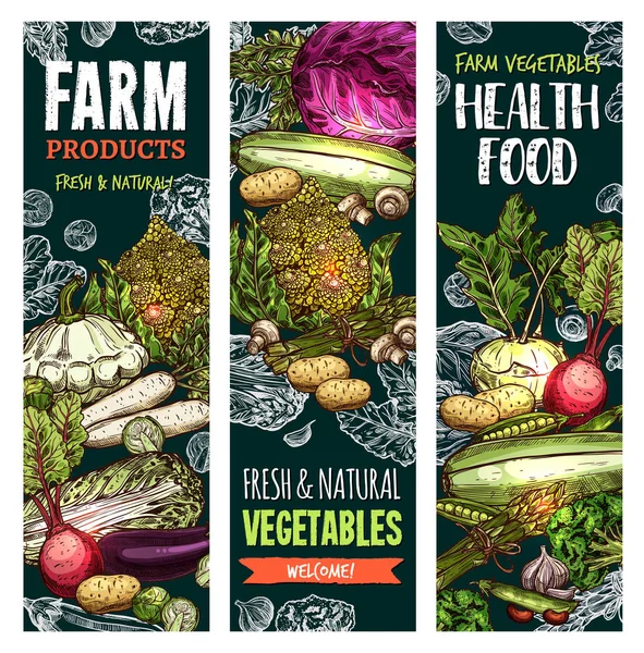 Banners de bosquejo vectorial de verduras de granja natural — Vector de stock