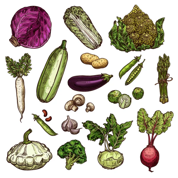 Zbiór warzyw ikony — Wektor stockowy