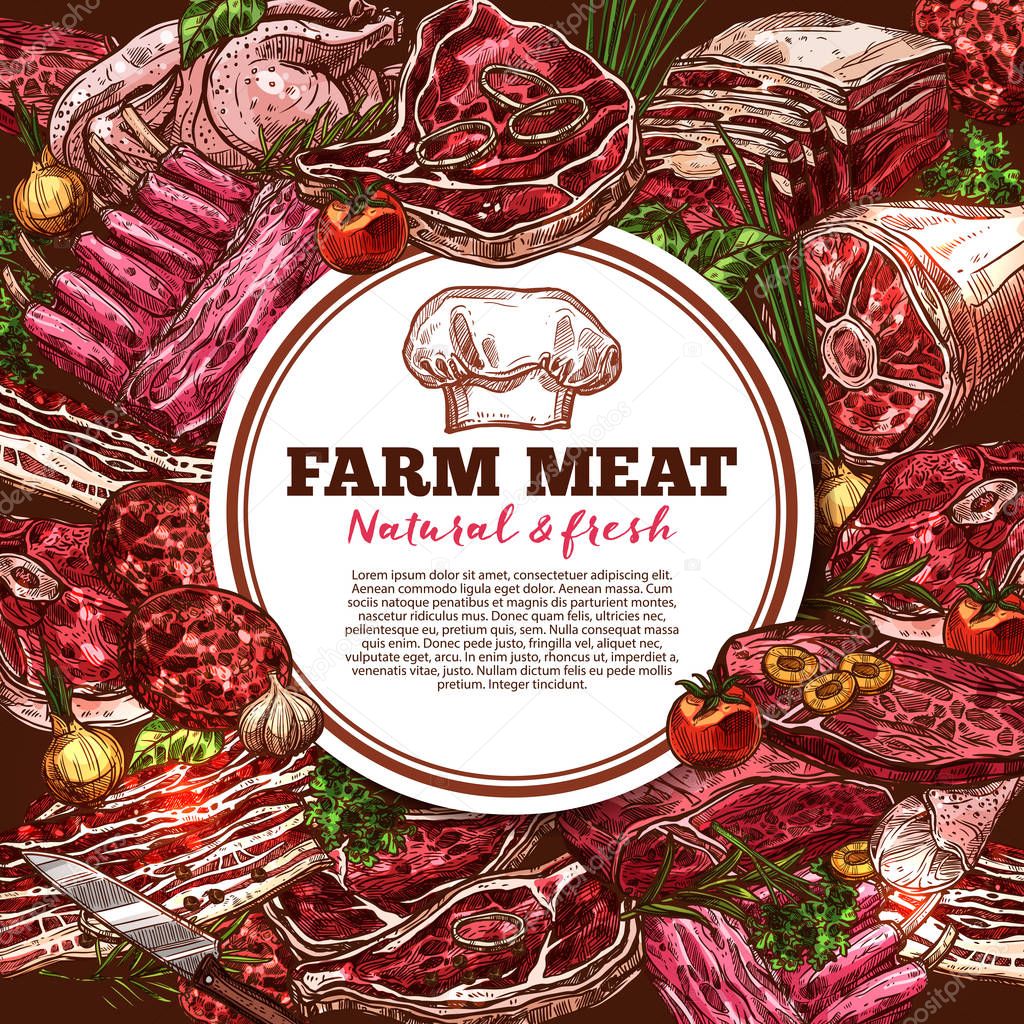 Fresh meat vector poster