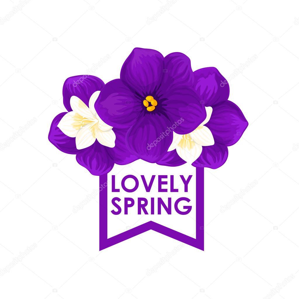 Spring crocuses bunch icon for springtime seasonal holiday or greeting card design. Vector isolated blue and white blooming violet bouquet of spring floral blossoms with ribbon