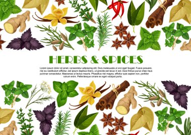 Spices and herbs farm store vector poster design clipart