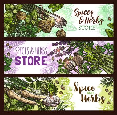 Baharat ve otlar çiftlik mağaza vektör afiş