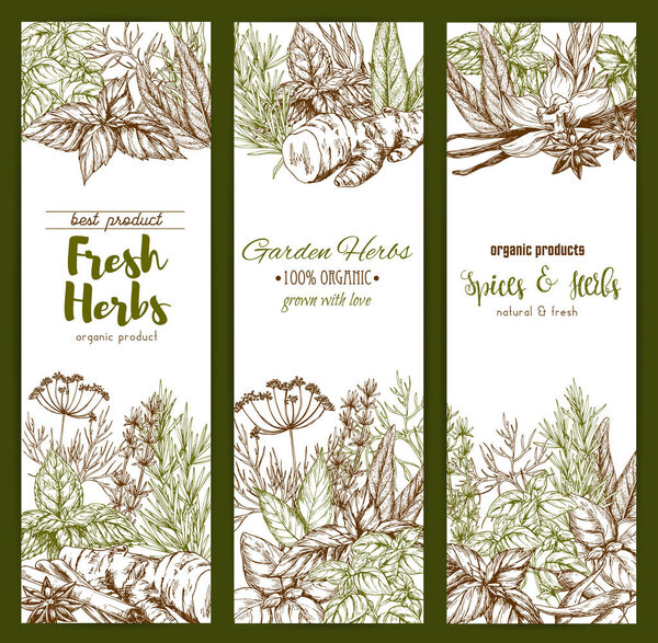 Spices and herbs farm store vector sketch banners