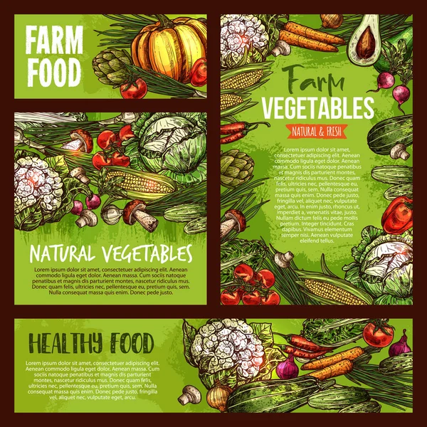 Vector verduras veggie granja alimentos bosquejo carteles — Archivo Imágenes Vectoriales