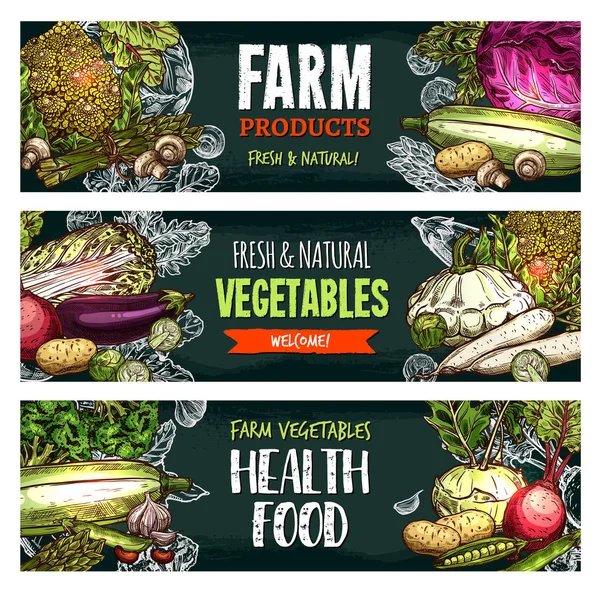 Vector de verduras orgánicas frescas boceto pancartas — Archivo Imágenes Vectoriales