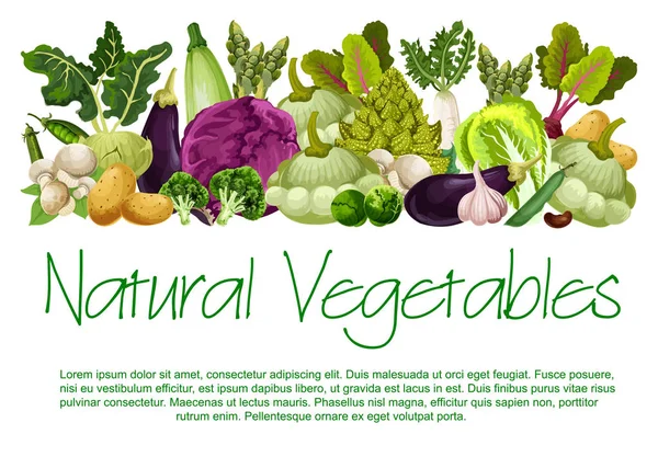 Vector natural vegetables organic food poster — Stock Vector