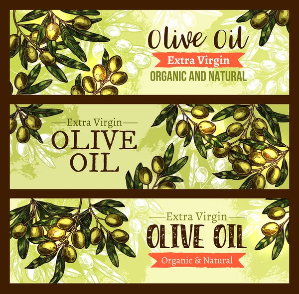 Vector olive oil product olives sketch banners — Stock Vector