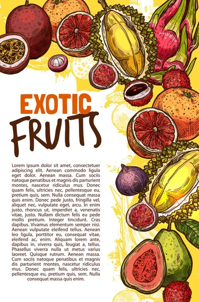 Vector fruit shop sketch poster of exotic fruits — Stock Vector