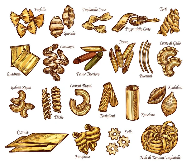 Croquis vectoriel italien de pâtes trie des icônes — Image vectorielle