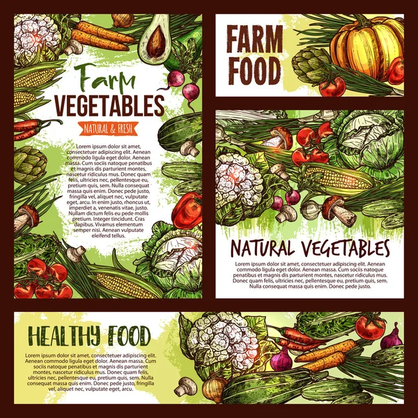 Διάνυσμα φυσικό λαχανικά φαγητό σκίτσο αφίσες — Διανυσματικό Αρχείο