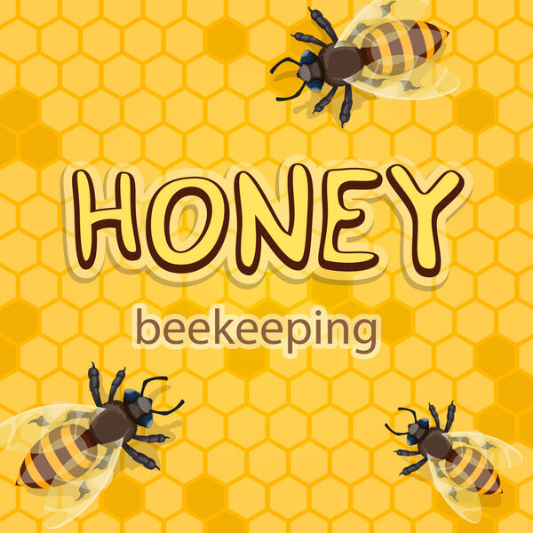 Honey product vector bees in honeycomb poster