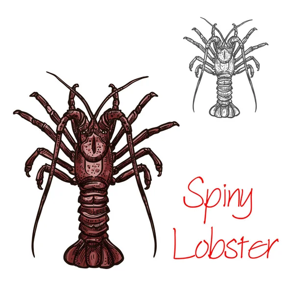 Vetor de lagosta espinhosa ícone de frutos do mar do oceano — Vetor de Stock