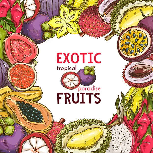 Vektor-Skizze Poster von Obstladen exotische Früchte — Stockvektor