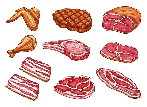 Vector bosquejo carne carnicero productos iconos — Archivo Imágenes Vectoriales