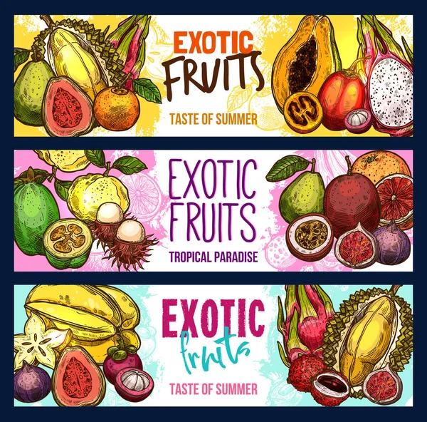 Vector fruit shop sketch banners of exotic fruits — Stock Vector