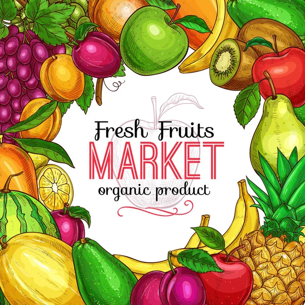Νωπά φρούτα και σαρκώδεις σκίτσο πλαίσιο για σχεδιασμό τροφίμων — Διανυσματικό Αρχείο