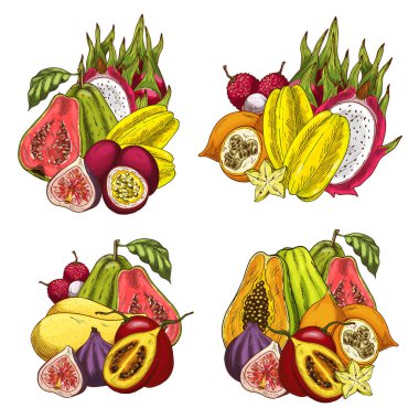 Egzotik meyve bohça kroki tropik ürün