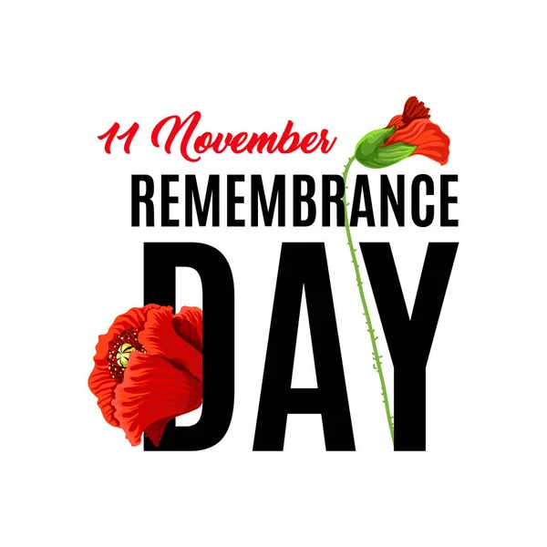 11 of November Remembrance day — Stock Vector