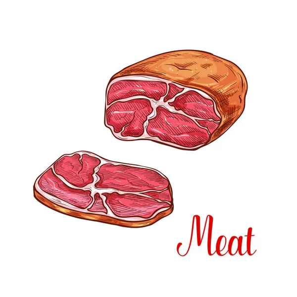 Meat brisket sketch with slice of beef or pork — Stock Vector