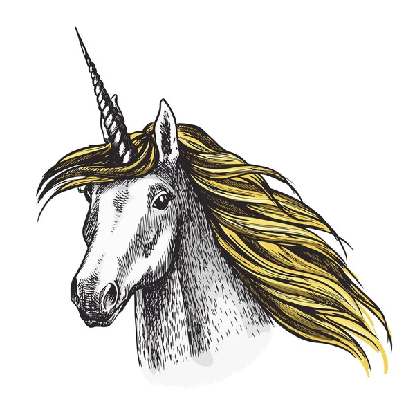 Єдиноріг кінь вектор ескіз казку тварин — стоковий вектор