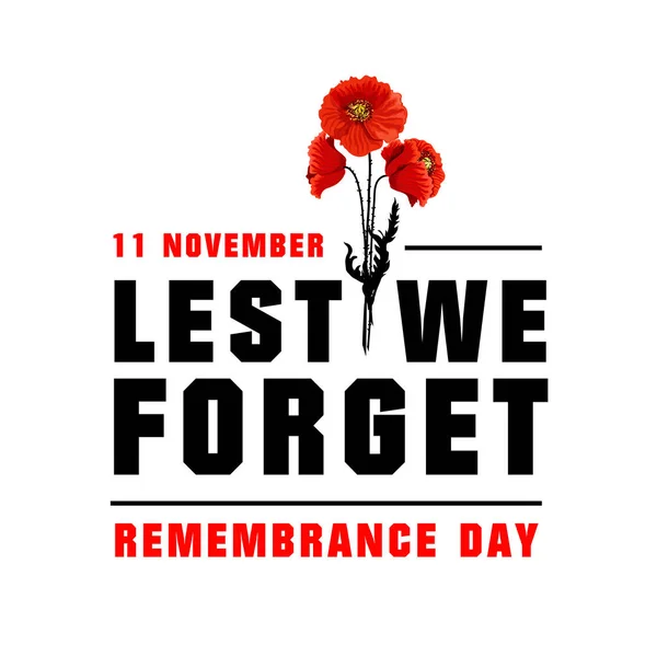 Vector poster for Remembrance day — Stock Vector