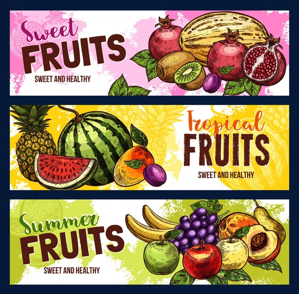 Vector sketch fruit store banners of farm fruits — Stock Vector