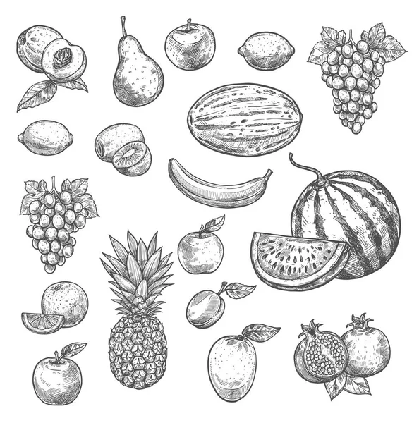 Vector bosquejo frutas iconos aislados — Vector de stock