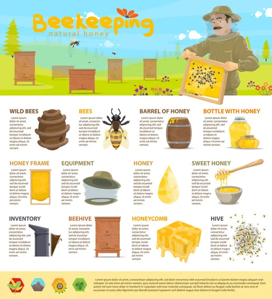 Infográficos vetoriais de apicultura de mel — Vetor de Stock