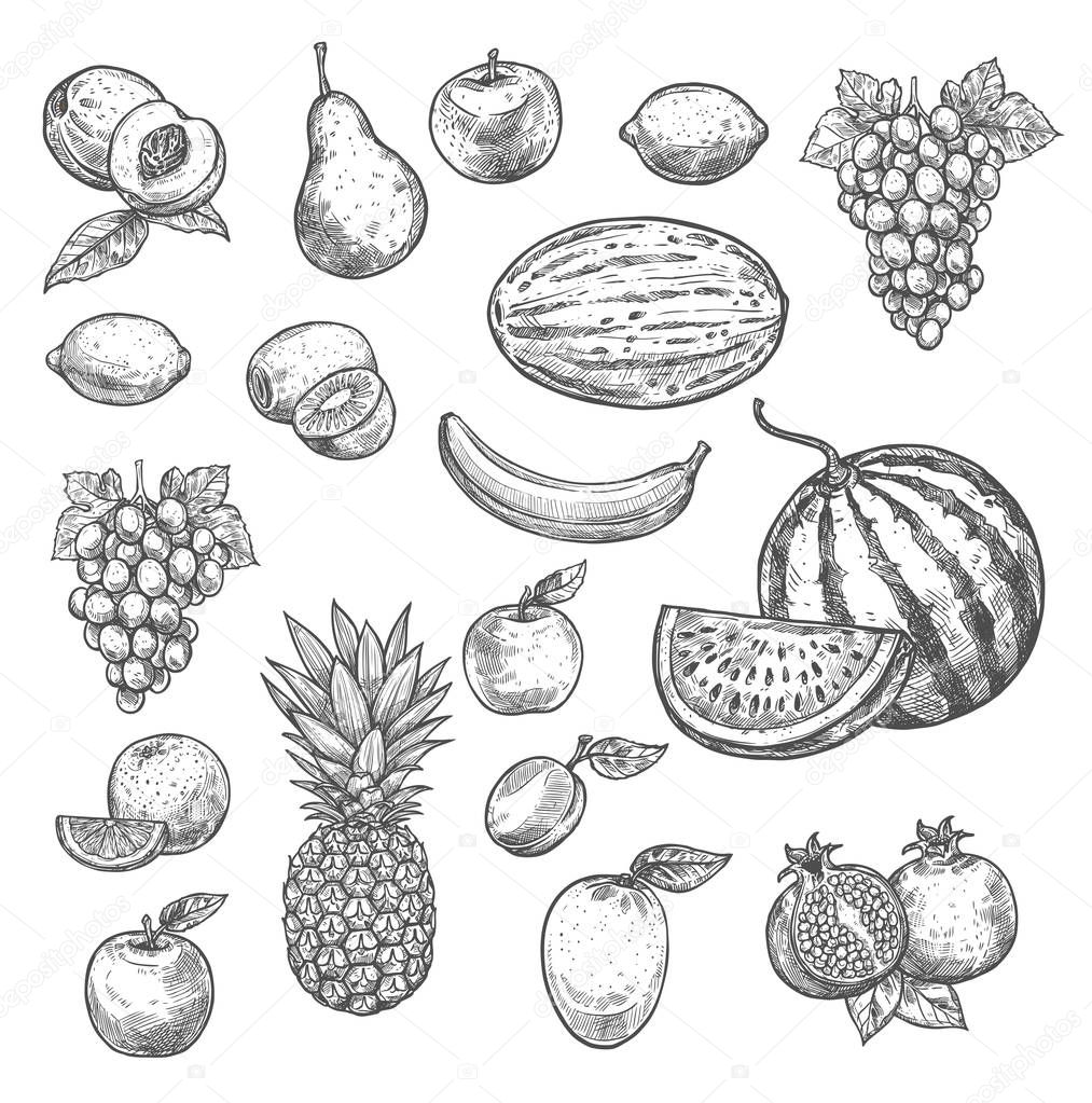 Vector sketch fruits isolated icons