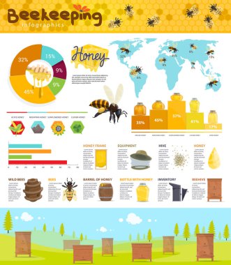 Arıcılık ve bal üretimi Infographic