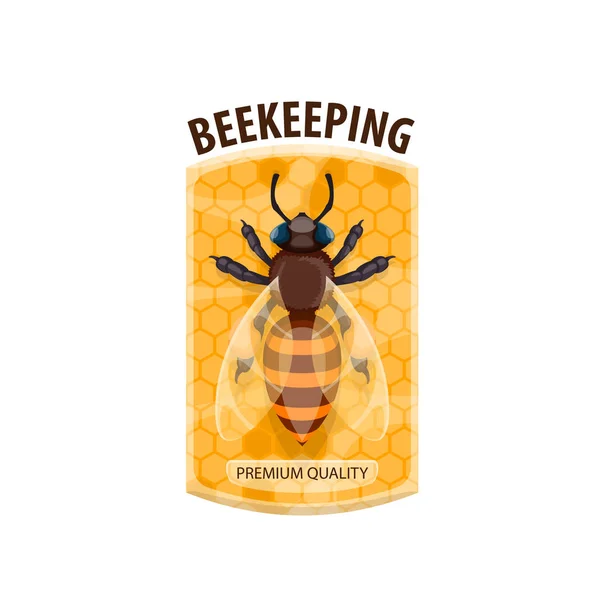 Ícone de apicultura com abelha mel e favo de mel — Vetor de Stock