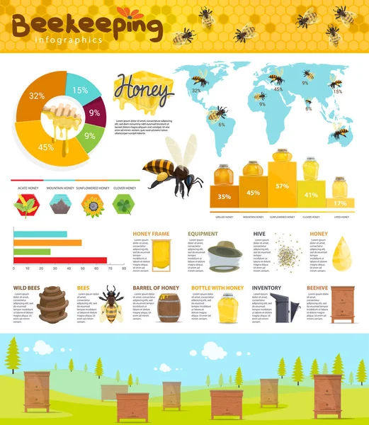 Biodling och honung produktion infographic — Stock vektor