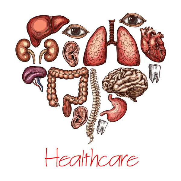 Hjärtsymbolen hälsa består av mänskliga organ skiss — Stock vektor