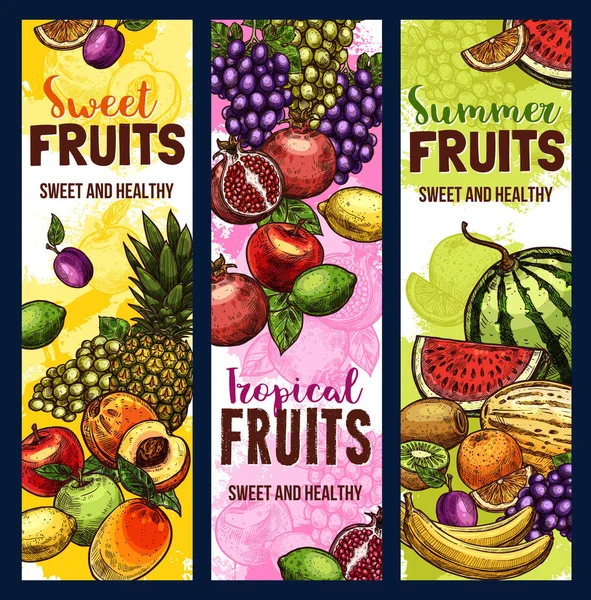 Banner de fructe și boabe de plante tropicale sau de grădină — Vector de stoc
