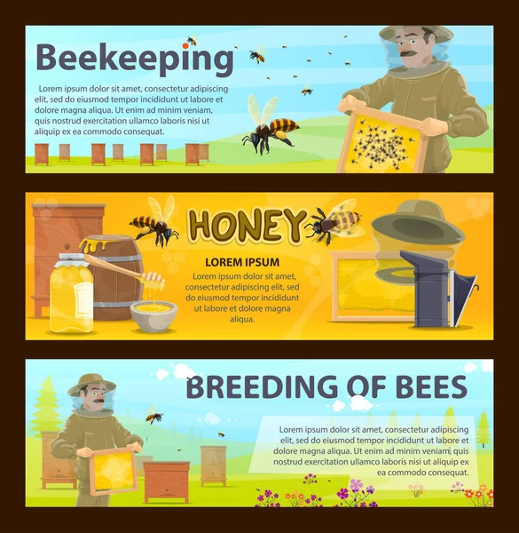 Honey bee breeding and beekeeping farm banner — Stock Vector