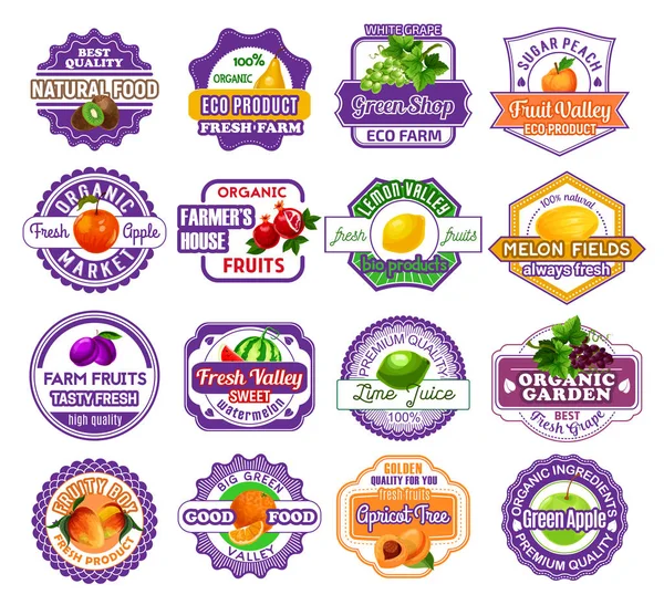 Etichetta di frutta e bacche per il design di cibi e bevande — Vettoriale Stock