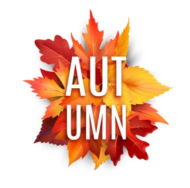 Sonbahar yaprakları yaprak vektör poster sonbahar yaprakları