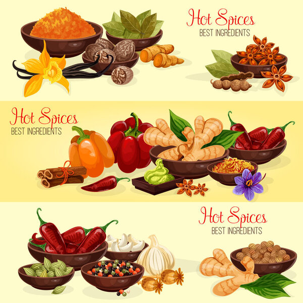 Hot spice banner of natural food ingredient