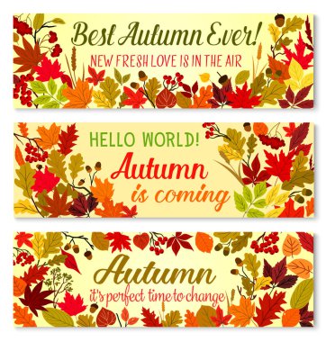 Sonbahar sezonu orman doğa çerçevesinin sonbahar afiş