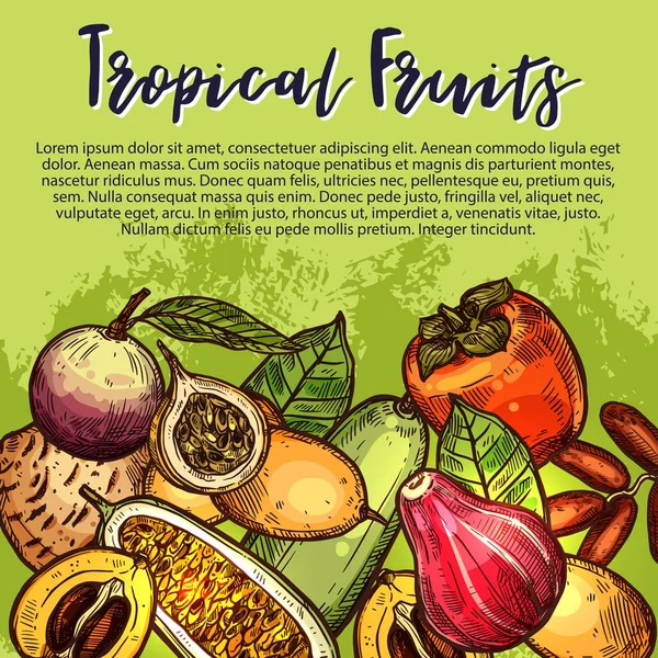 Vector vruchten schets exotische tropische vruchten poster — Stockvector