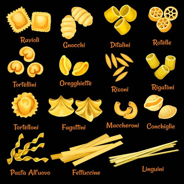 Vektor italienische Nudelsorten Symbole — Stockvektor
