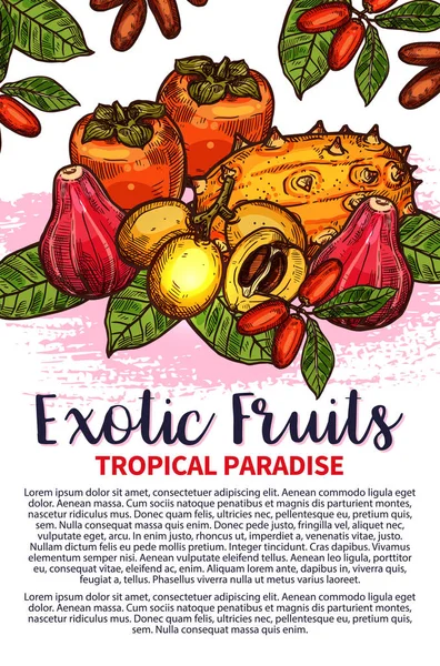 Frutos vetoriais exótico fruta tropical esboço cartaz —  Vetores de Stock