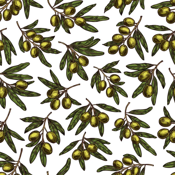 Vector olives pattern seamless background — Stock Vector