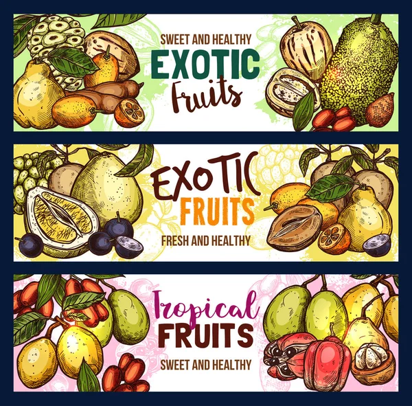 矢量水果异国情调的热带水果素描横幅 — 图库矢量图片