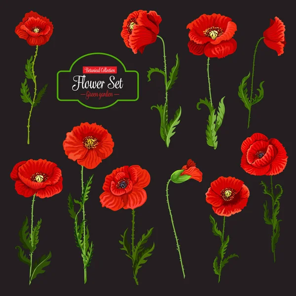 Ikona kwiat maku wildflower czerwony i zielony liść — Wektor stockowy