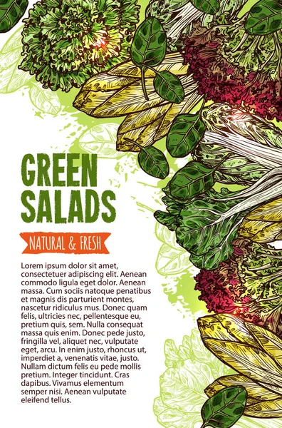 Groene salade schets banner van vers blad groente — Stockvector