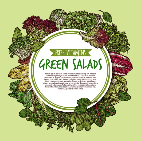 Αφίσα σκίτσο πράσινη σαλάτα από φρέσκα φύλλα λαχανικών — Διανυσματικό Αρχείο
