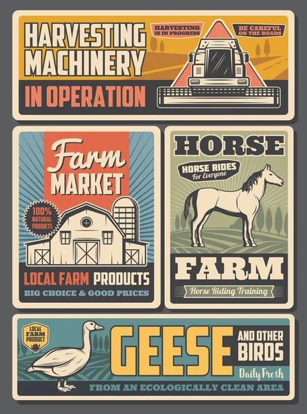Agricoltura, industria agricola. Animali da fattoria — Vettoriale Stock
