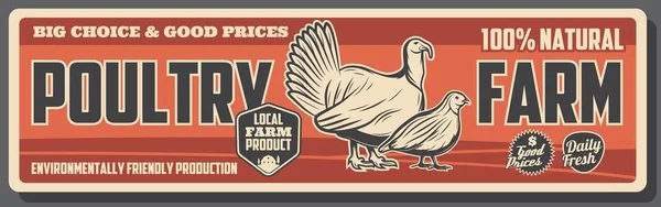 Turkey and quail, poultry farm. Animal farming — Stock Vector