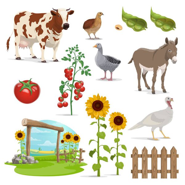 Farm field, animals and vegetables. Agriculture